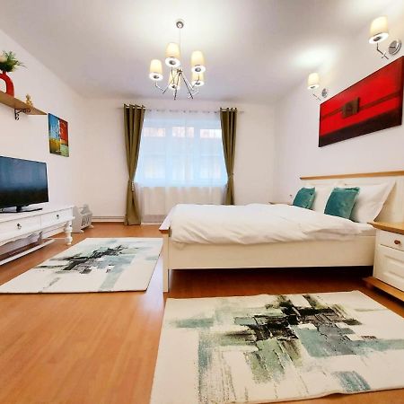 ブラショフCasa Dusa - Apartament Crisstinaアパートメント エクステリア 写真