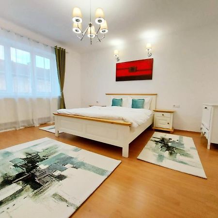 ブラショフCasa Dusa - Apartament Crisstinaアパートメント エクステリア 写真