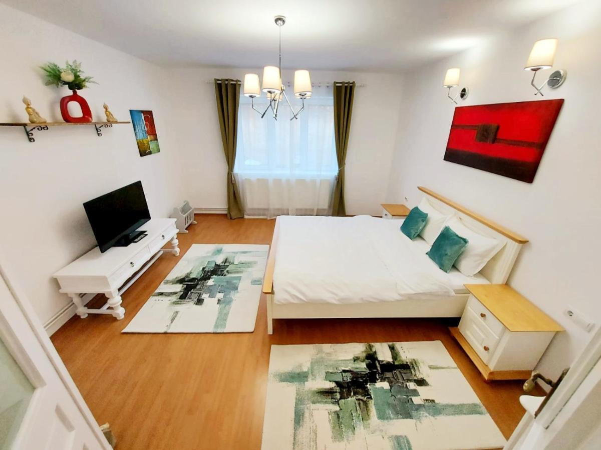 ブラショフCasa Dusa - Apartament Crisstinaアパートメント エクステリア 写真