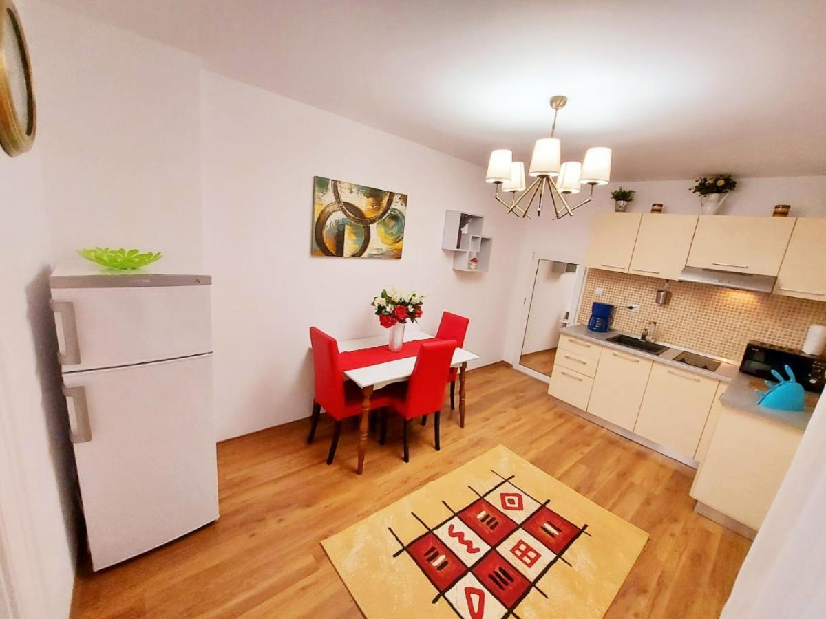 ブラショフCasa Dusa - Apartament Crisstinaアパートメント エクステリア 写真